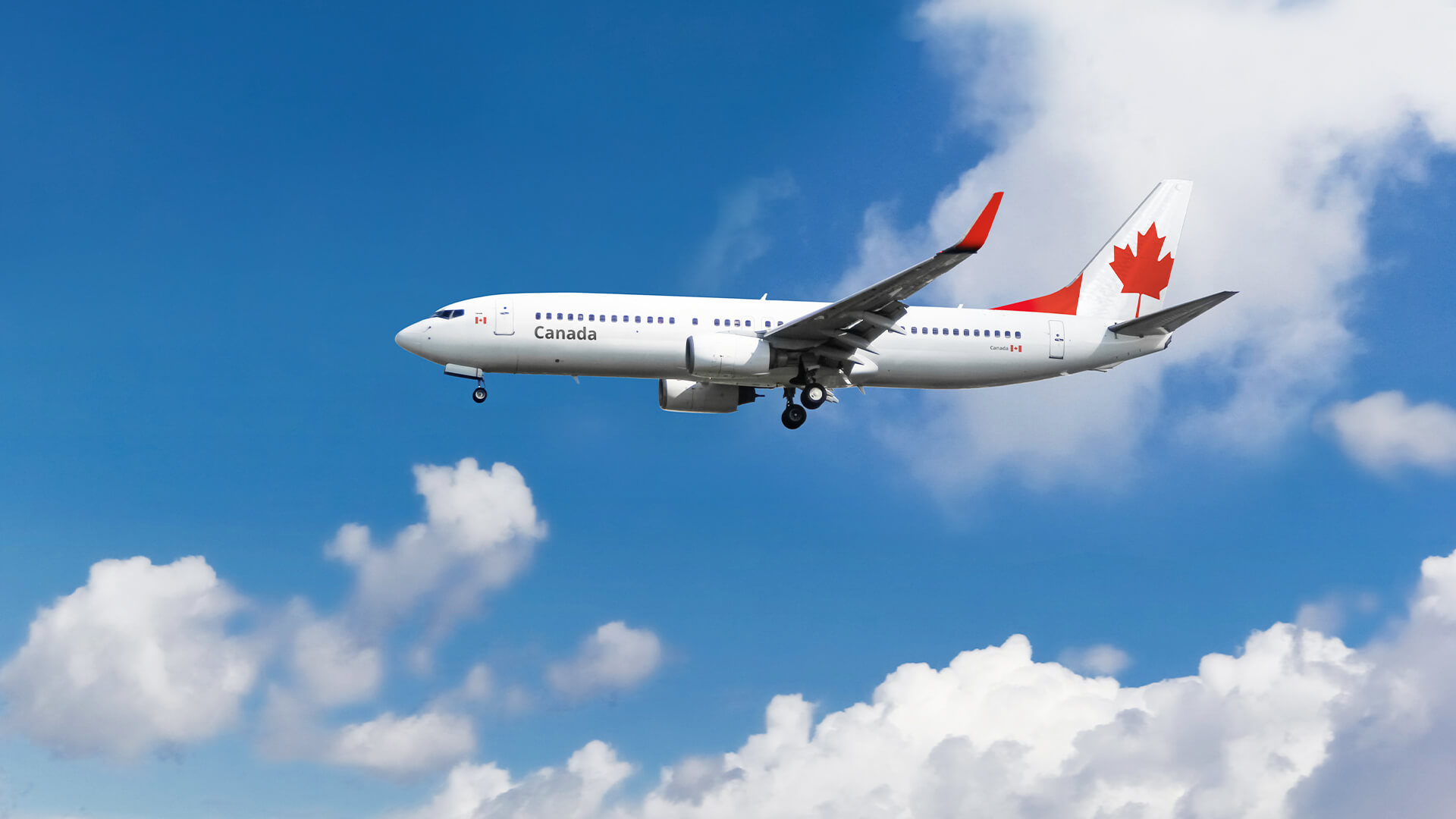 air Canada rewards program